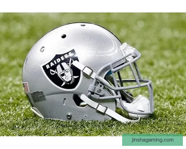 拉斯维加斯新队潜在11大队名盘点能否超越博彩标签